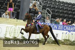 24R13_20765 thumbnail
