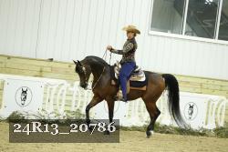 24R13_20786 thumbnail