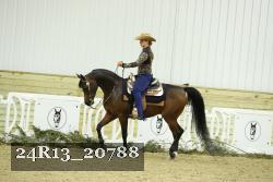 24R13_20788 thumbnail