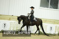 24R13_20789 thumbnail
