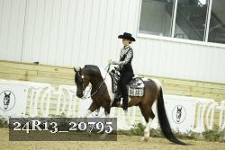 24R13_20795 thumbnail