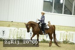 24R13_20799 thumbnail