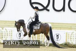 24R13_20801 thumbnail
