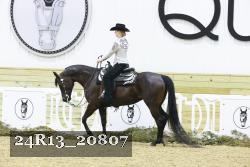 24R13_20807 thumbnail