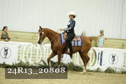 24R13_20808 thumbnail