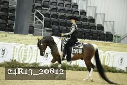 24R13_20812 thumbnail