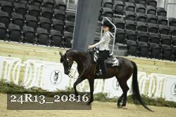 24R13_20816 thumbnail