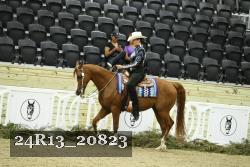 24R13_20823 thumbnail