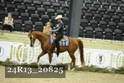 24R13_20825 thumbnail