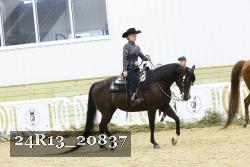 24R13_20837 thumbnail