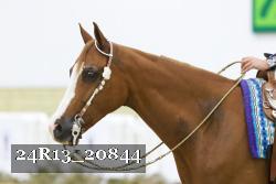 24R13_20844 thumbnail
