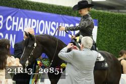 24R13_20851 thumbnail