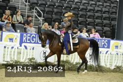 24R13_20862 thumbnail