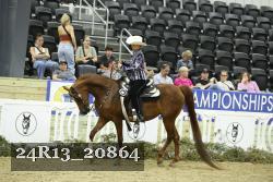 24R13_20864 thumbnail