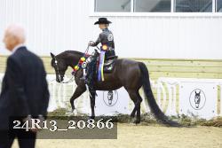 24R13_20866 thumbnail