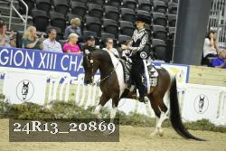 24R13_20869 thumbnail