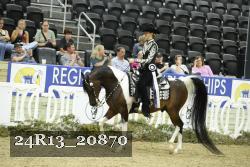 24R13_20870 thumbnail