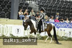 24R13_20871 thumbnail
