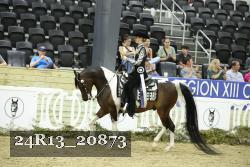 24R13_20873 thumbnail
