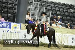 24R13_20874 thumbnail