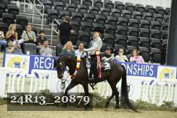 24R13_20879 thumbnail