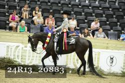 24R13_20883 thumbnail