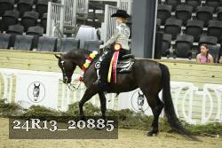 24R13_20885 thumbnail