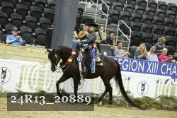 24R13_20889 thumbnail