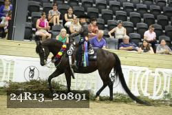 24R13_20891 thumbnail