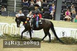 24R13_20893 thumbnail