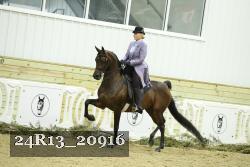 24R13_20916 thumbnail