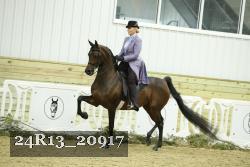24R13_20917 thumbnail