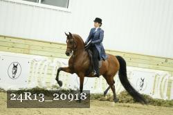 24R13_20918 thumbnail
