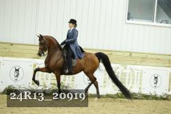 24R13_20919 thumbnail