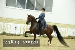 24R13_20920 thumbnail