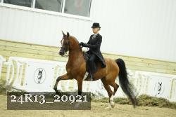 24R13_20921 thumbnail