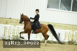 24R13_20922 thumbnail