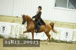 24R13_20923 thumbnail