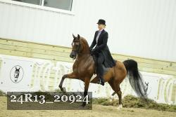 24R13_20924 thumbnail