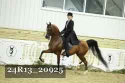 24R13_20925 thumbnail