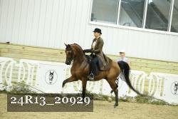 24R13_20929 thumbnail