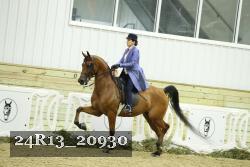 24R13_20930 thumbnail