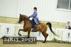 24R13_20931 thumbnail