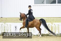 24R13_20932 thumbnail