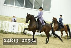 24R13_20934 thumbnail
