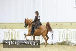 24R13_20935 thumbnail