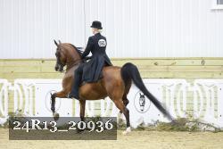 24R13_20936 thumbnail