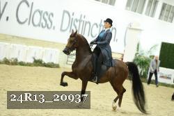 24R13_20937 thumbnail