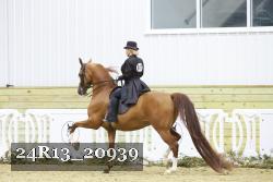 24R13_20939 thumbnail