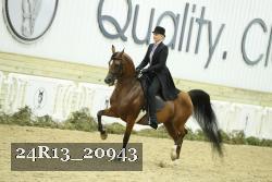24R13_20943 thumbnail